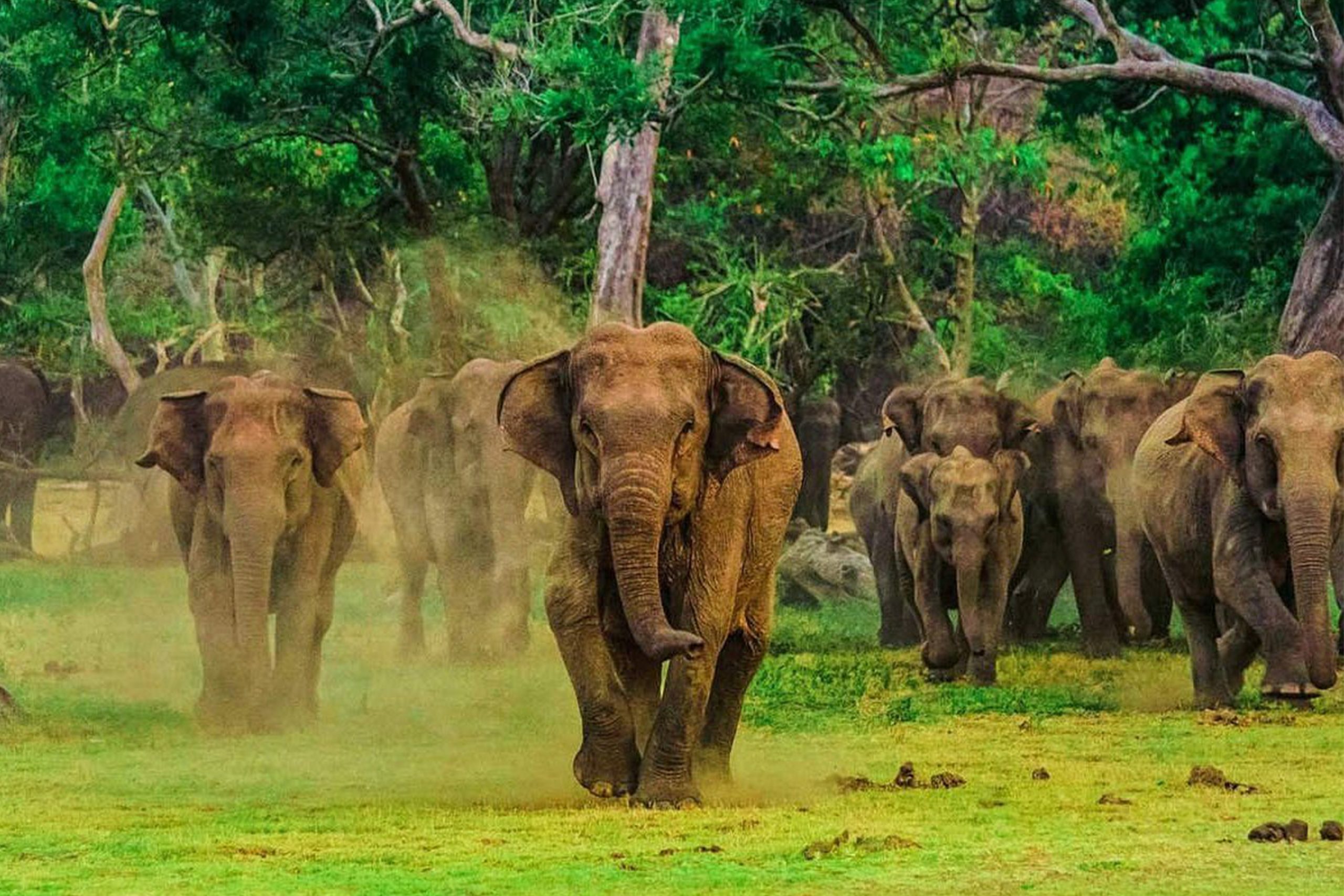Udawalawe