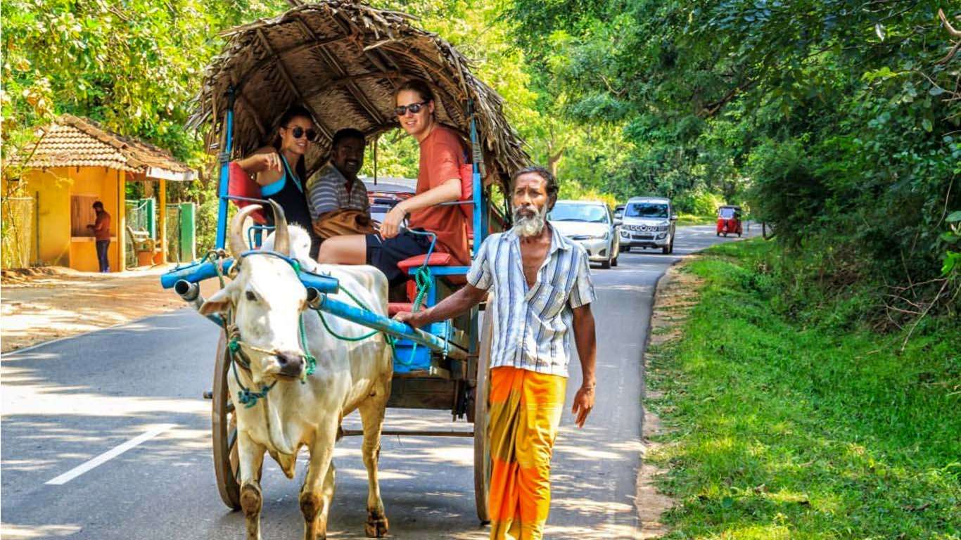 Village Tour Sri LAnkla